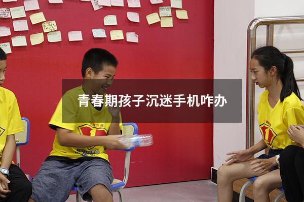 青春期孩子沉迷手机咋办