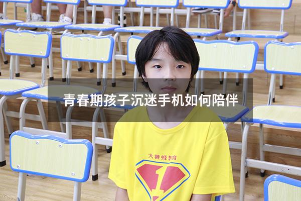 青春期孩子沉迷手机如何陪伴