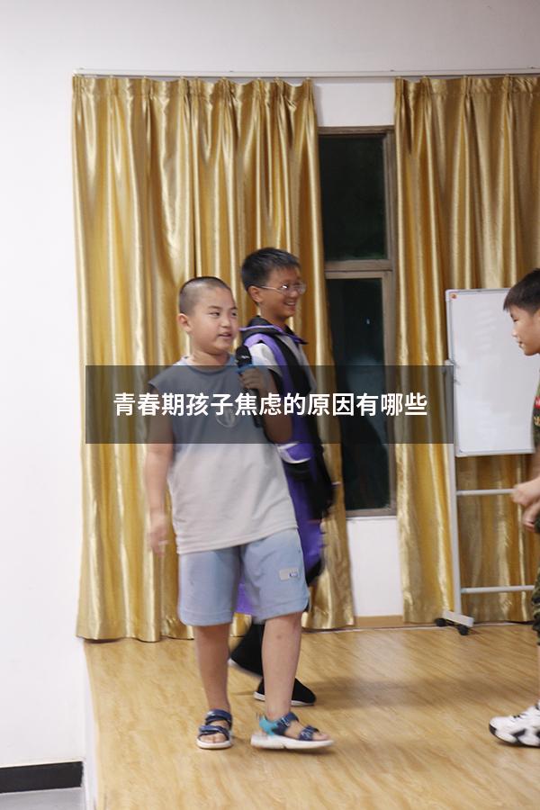 青春期孩子焦虑的原因有哪些