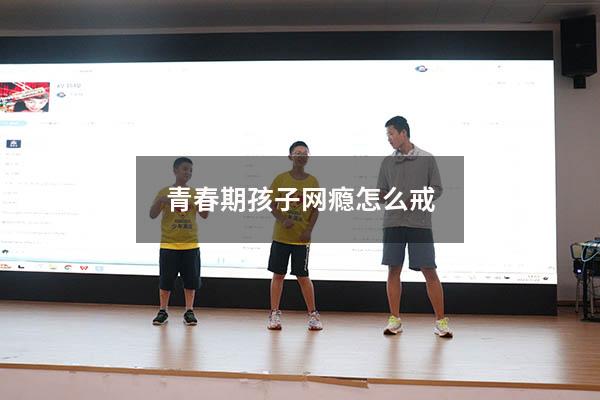 青春期孩子网瘾怎么戒