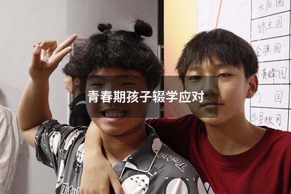 青春期孩子辍学应对