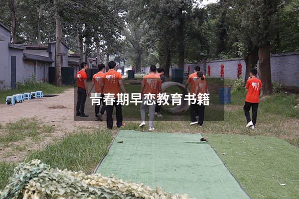 青春期早恋教育书籍