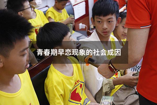 青春期早恋现象的社会成因