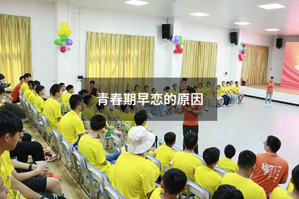 青春期早恋的原因