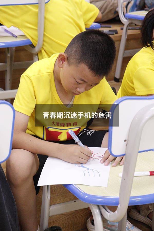 青春期沉迷手机的危害