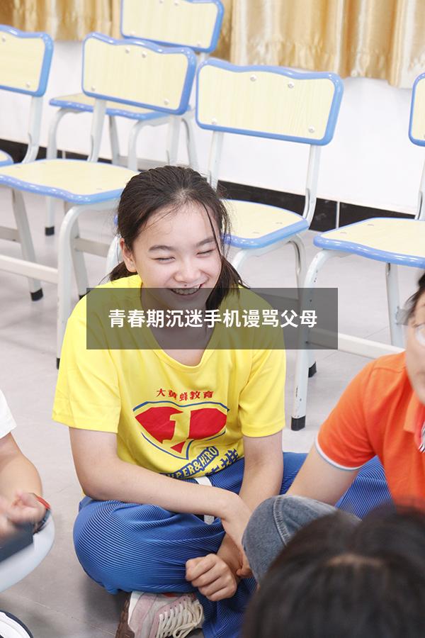 青春期沉迷手机谩骂父母