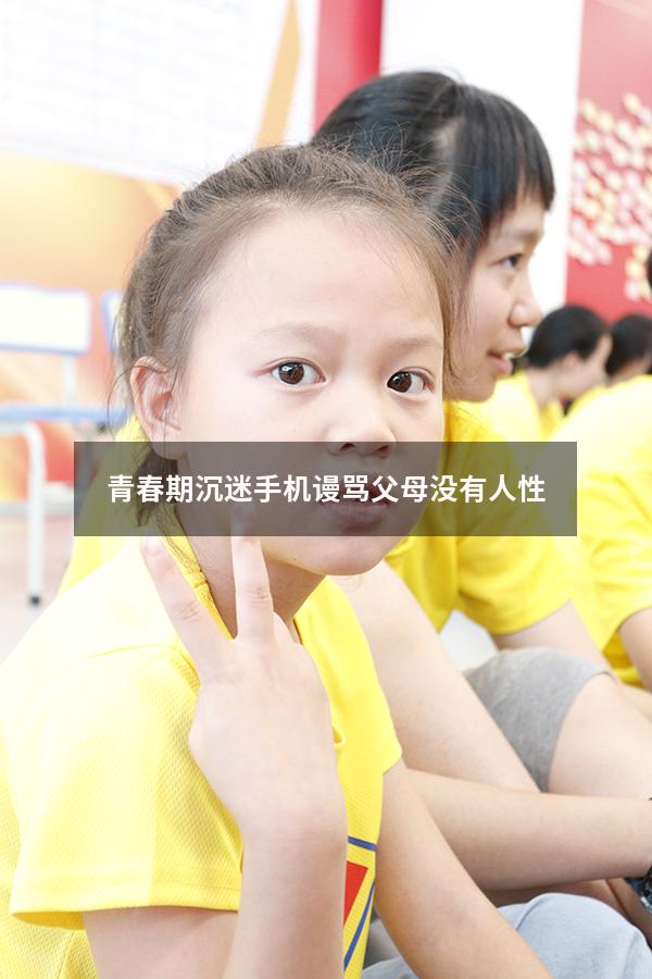 青春期沉迷手机谩骂父母没有人性