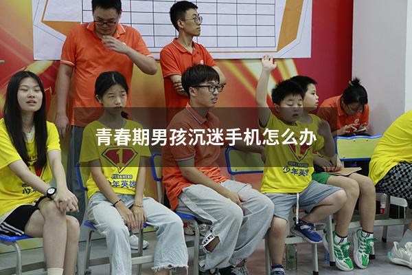 青春期男孩沉迷手机怎么办