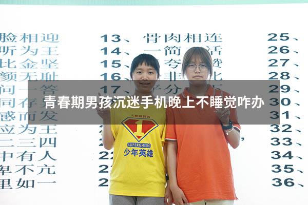 青春期男孩沉迷手机晚上不睡觉咋办