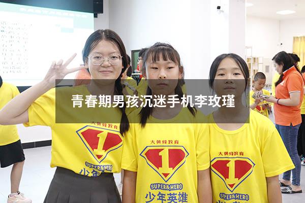青春期男孩沉迷手机李玫瑾
