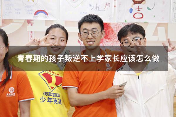 青春期的孩子叛逆不上学家长应该怎么做