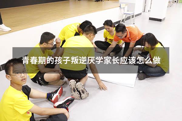 青春期的孩子叛逆厌学家长应该怎么做