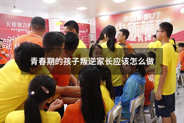 青春期的孩子叛逆家长应该怎么做