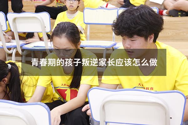 青春期的孩子叛逆家长应该怎么做4630