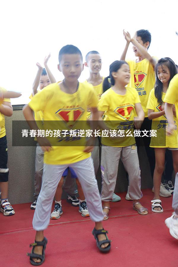 青春期的孩子叛逆家长应该怎么做文案