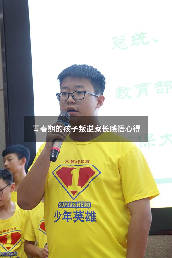 青春期的孩子叛逆家长感悟心得