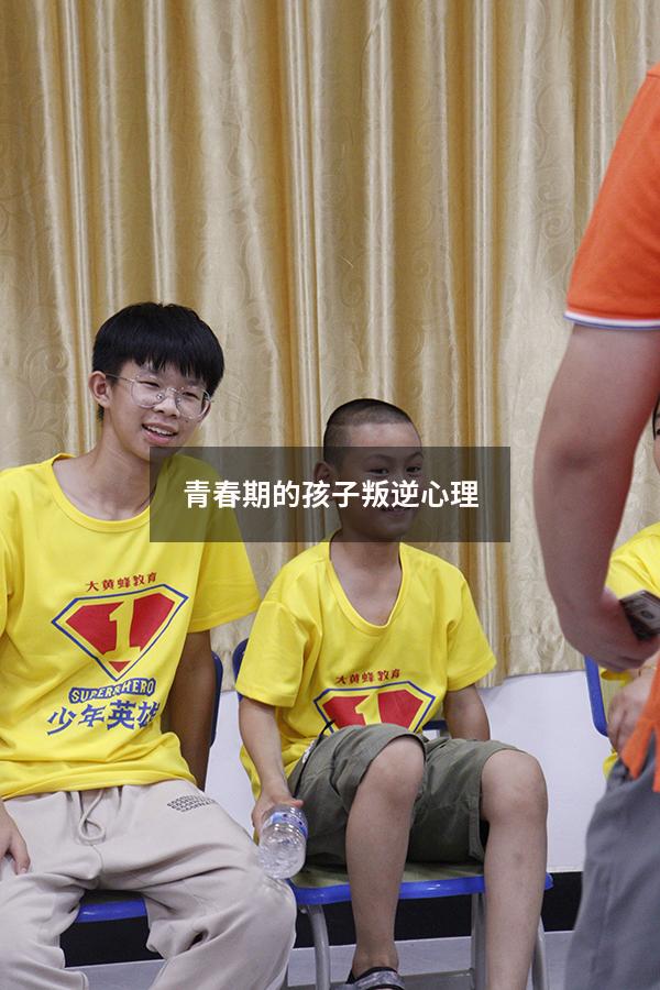 青春期的孩子叛逆心理