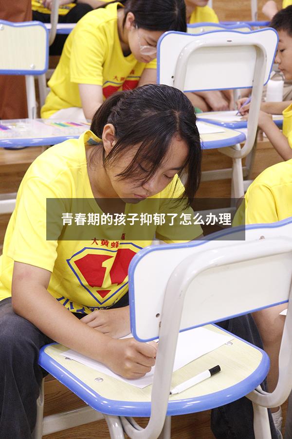 青春期的孩子抑郁了怎么办理
