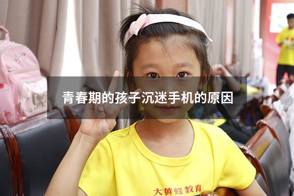 青春期的孩子沉迷手机的原因