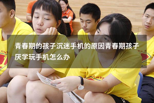 青春期的孩子沉迷手机的原因（青春期孩子厌学玩手机怎么办）