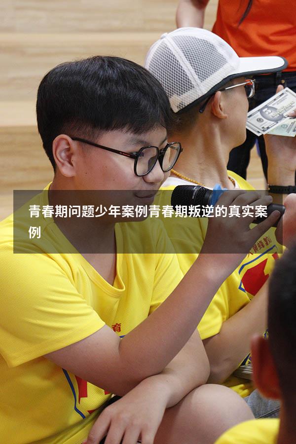 青春期问题少年案例（青春期叛逆的真实案例）