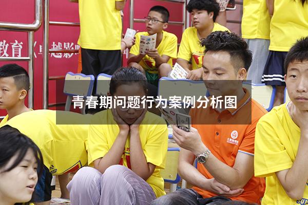 青春期问题行为案例分析图