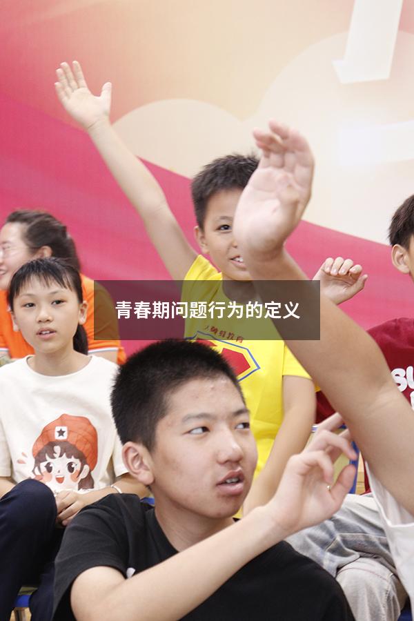 青春期问题行为的定义