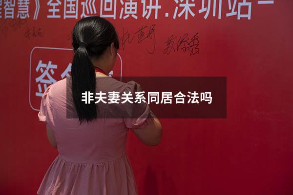 非夫妻关系同居合法吗