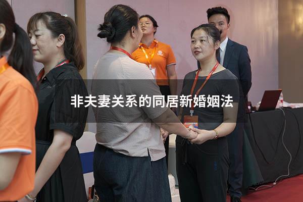 非夫妻关系的同居新婚姻法