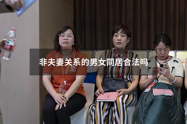 非夫妻关系的男女同居合法吗