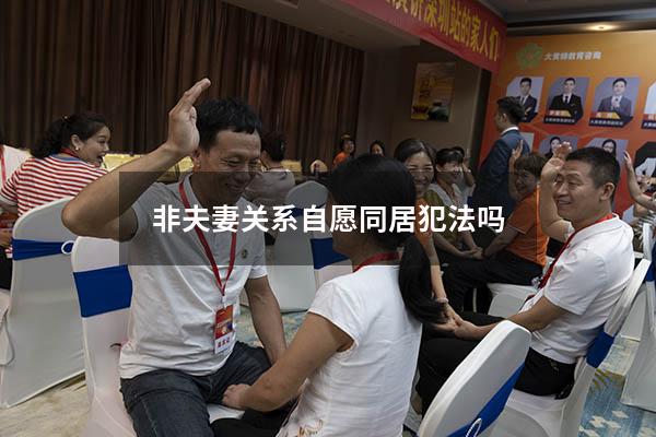 非夫妻关系自愿同居犯法吗