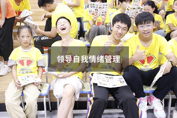 领导自我情绪管理