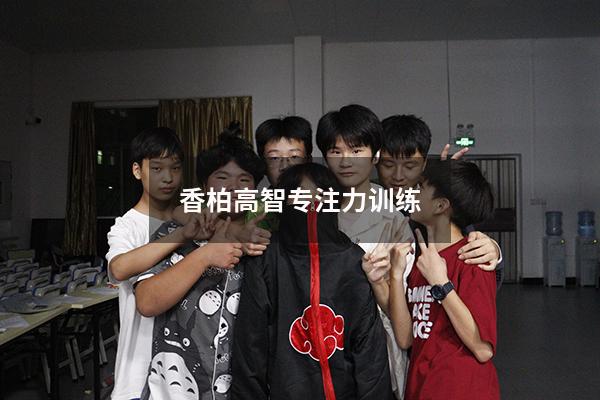 香柏高智专注力训练