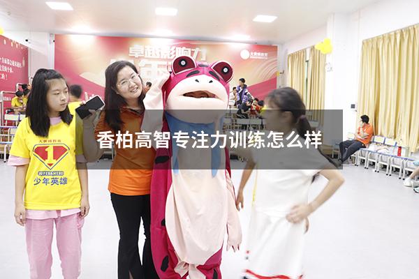 香柏高智专注力训练怎么样