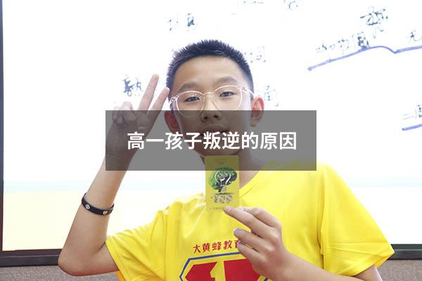 高一孩子叛逆的原因