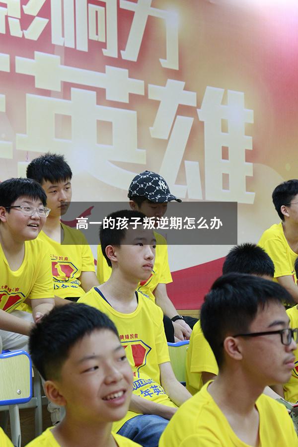高一的孩子叛逆期怎么办