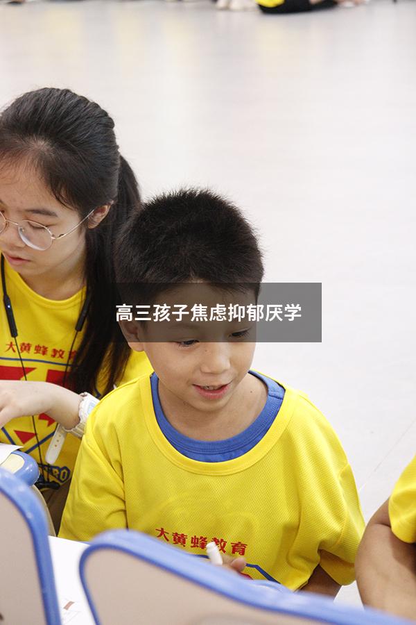 高三孩子焦虑抑郁厌学