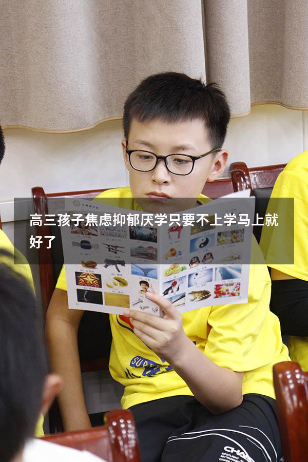高三孩子焦虑抑郁厌学只要不上学马上就好了