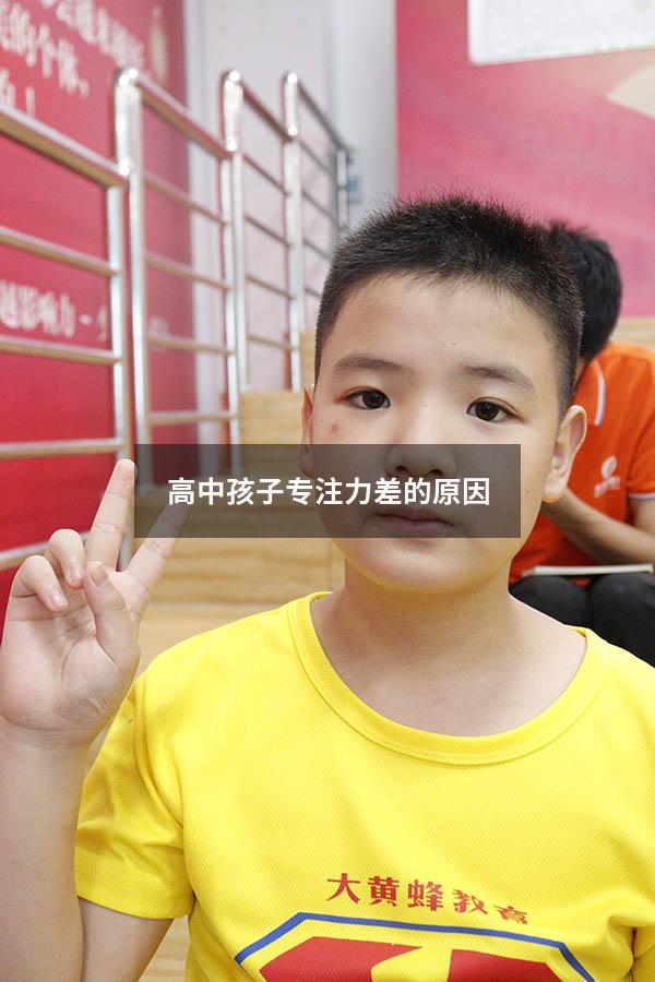高中孩子专注力差的原因