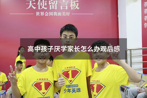 高中孩子厌学家长怎么办观后感
