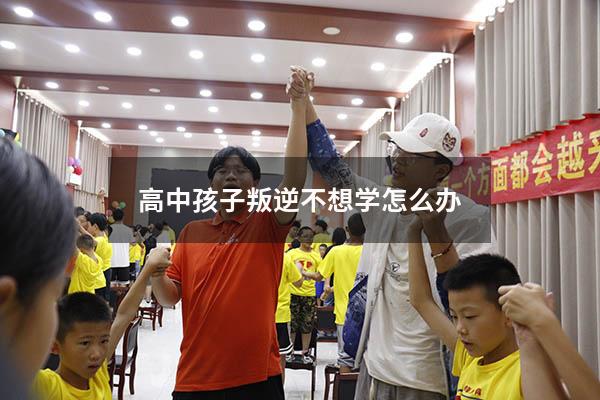 高中孩子叛逆不想学怎么办