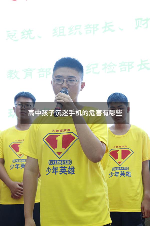 高中孩子沉迷手机的危害有哪些