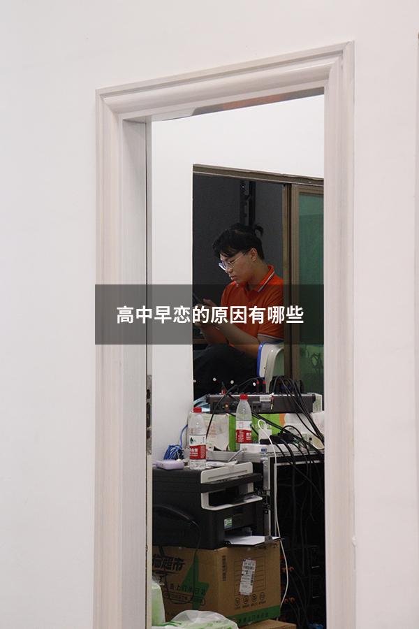 高中早恋的原因有哪些