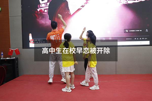 高中生在校早恋被开除