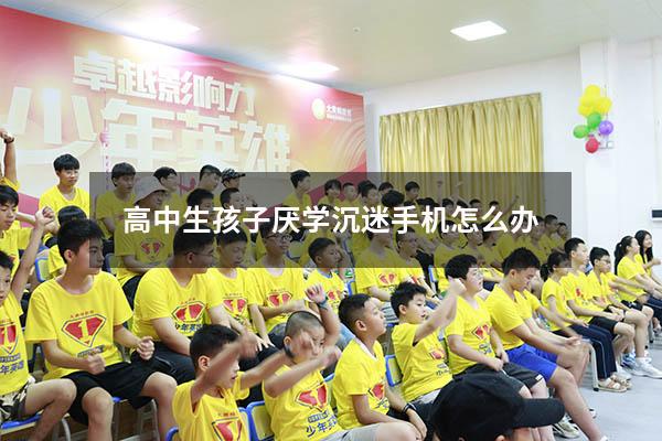 高中生孩子厌学沉迷手机怎么办