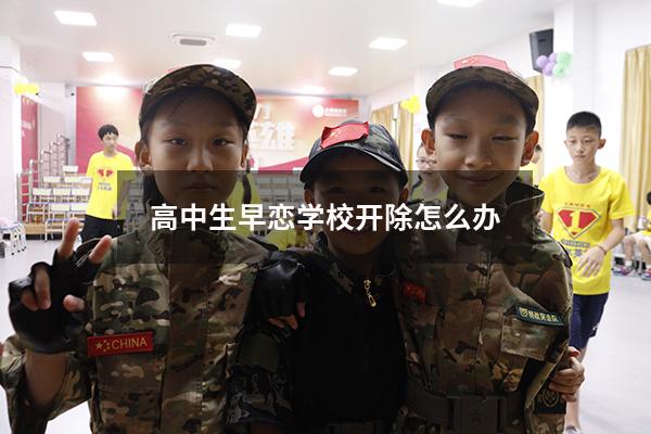高中生早恋学校开除怎么办