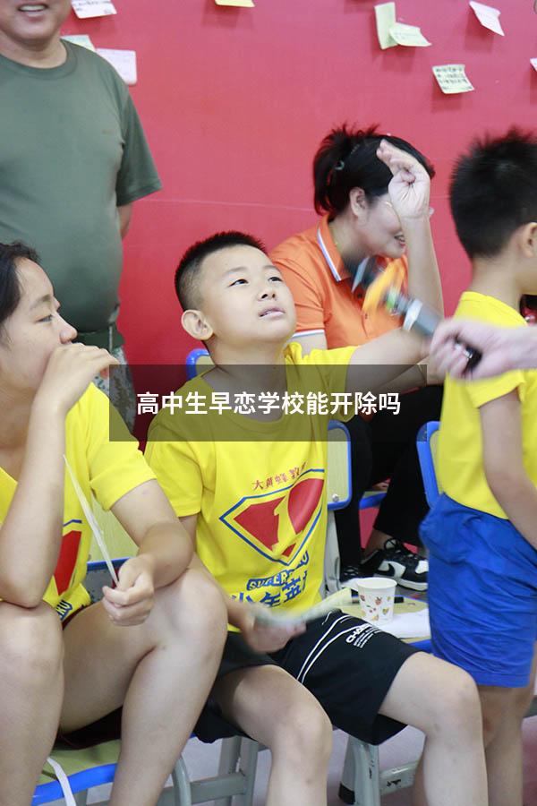 高中生早恋学校能开除吗