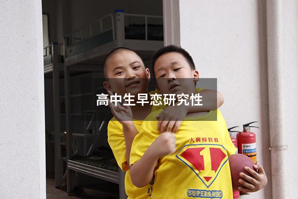 高中生早恋研究性