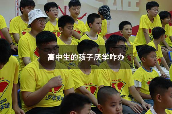 高中生的孩子厌学咋办