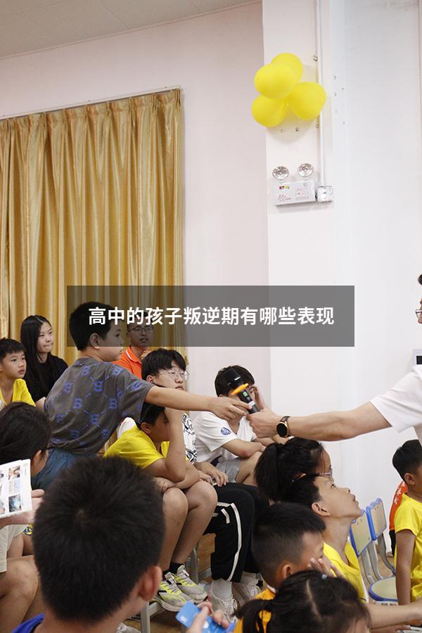 高中的孩子叛逆期有哪些表现